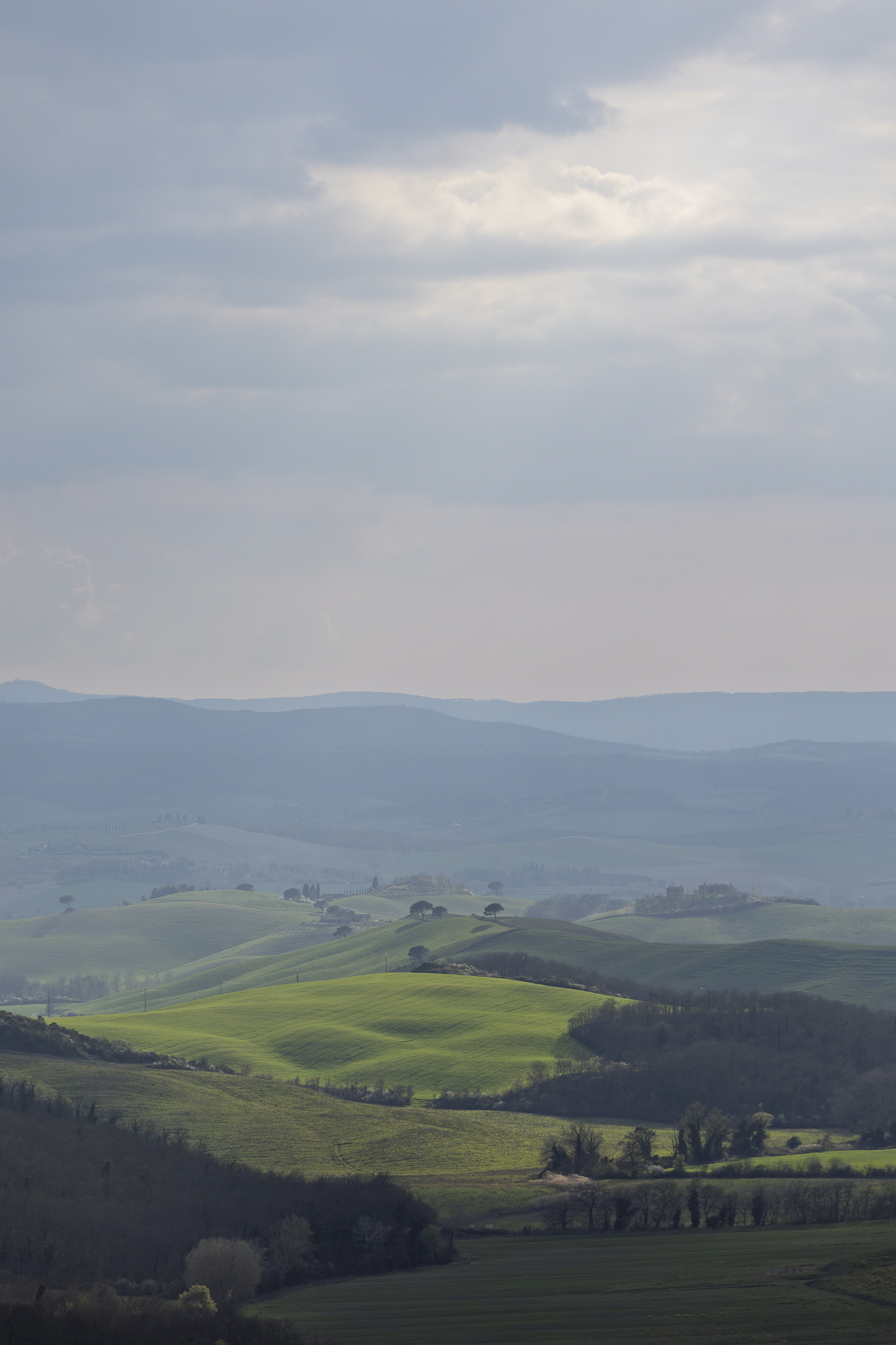 Sample 1 5L2A5032